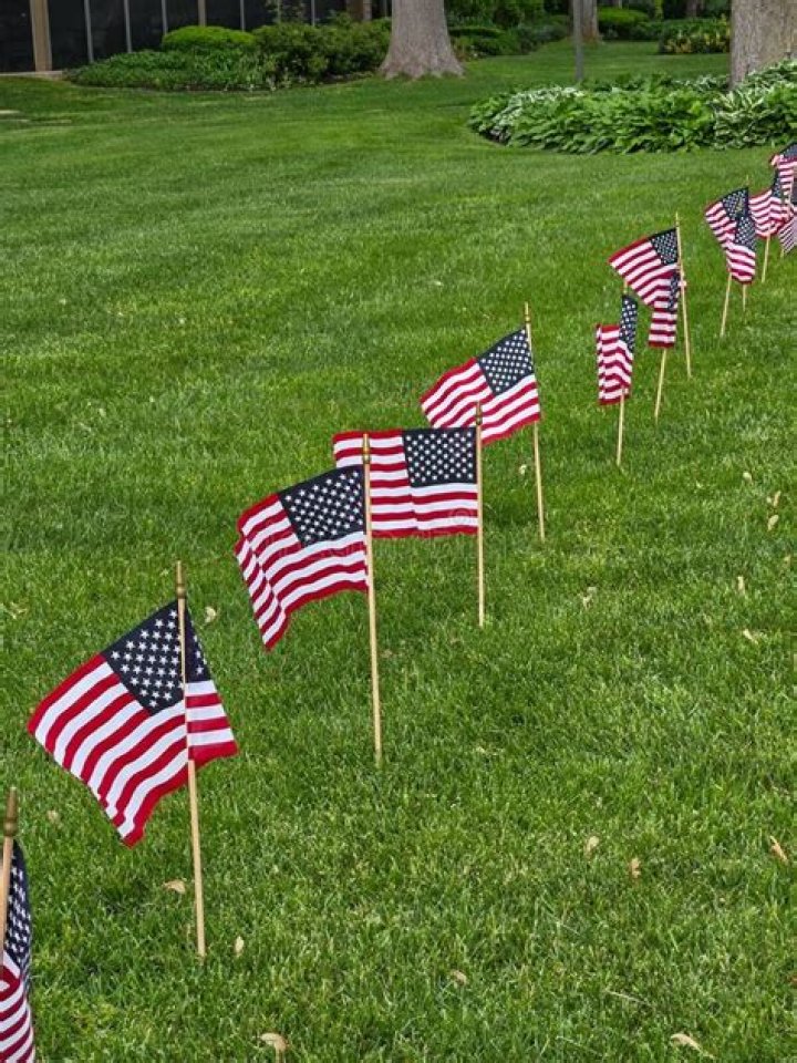 Addressing the Talk: Is Disney Really Removing American Flag Displays?