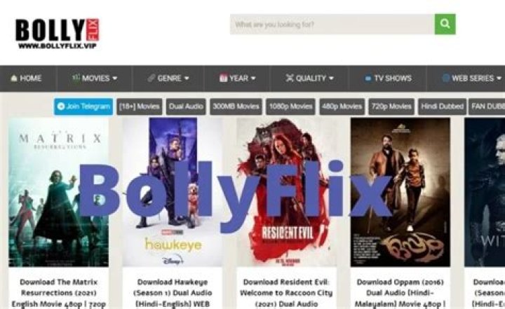 Discover Bollyflix: Your Go-To Spot for Indian Entertainment