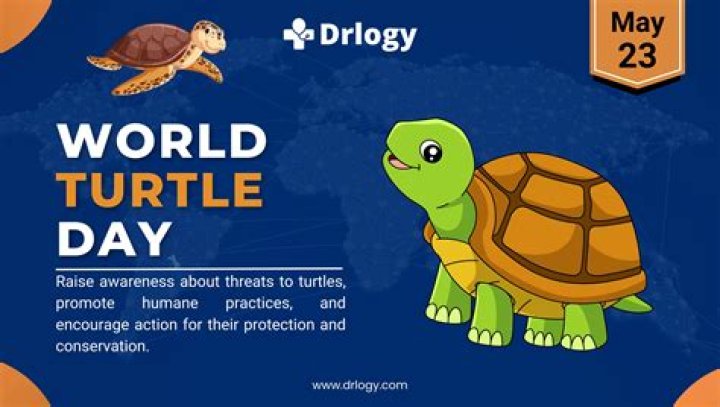 Exploring Downloadhub.com: What You Need to Know Today