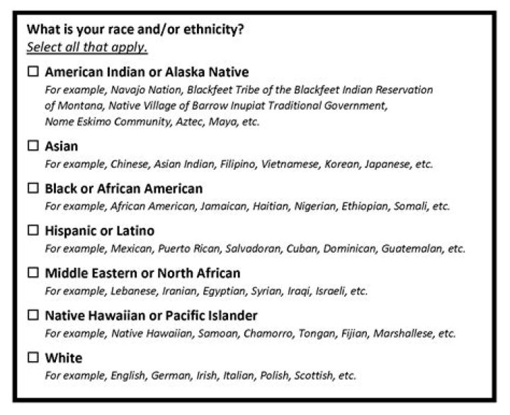 Exploring Lexis Star Ethnicity: What Data Tells Us About Identity Today