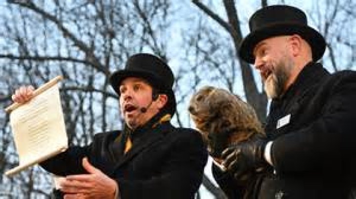 How Many More Weeks of Love Island? Your Guide to the Grand Finale