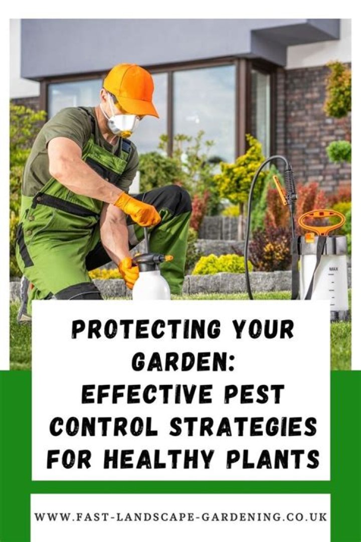 Protecting Your Garden's Joy: Understanding Daisys Destructionprime