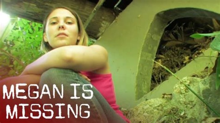 Unpacking the Impact: What You Need to Know About Megan Is Missing Pictures